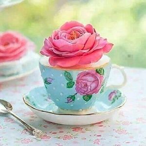 Meet your Posher, Bruno